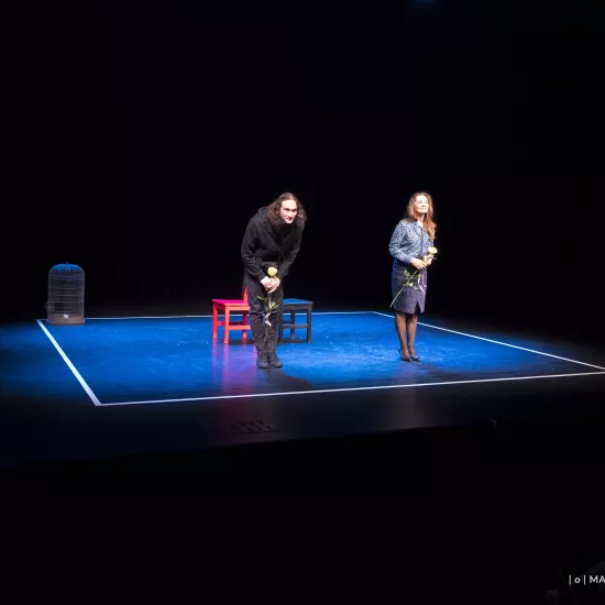 Kruk z Tower, CKiS Skierniewice, fot. Marcin Nowak