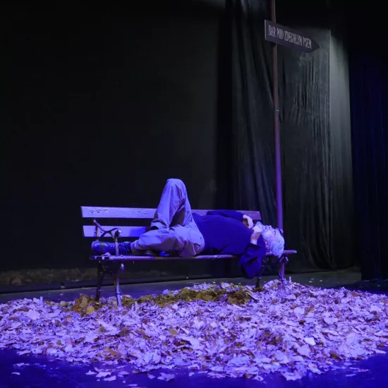 zdjęcie przedstawia scenę teatralną w Miejskim Domu Kultury w Radomsku. Na scenie znajduje się ławka, pod nią rozrzucone suche liście. Na ławce leży aktor. 